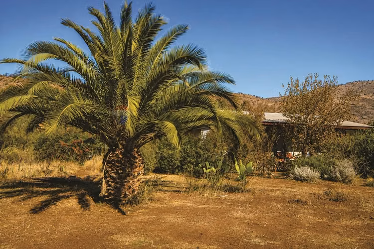 Casa en venta lampa