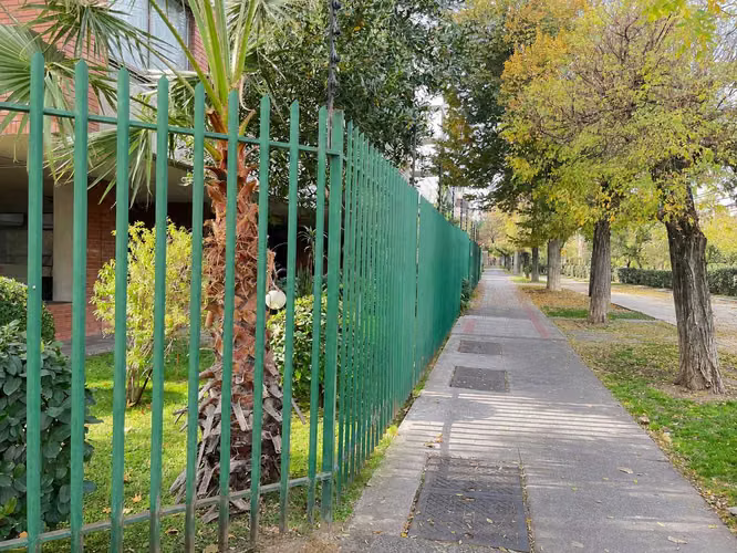 Vive Providencia caminando a todas partes (167546) - Imagen 22