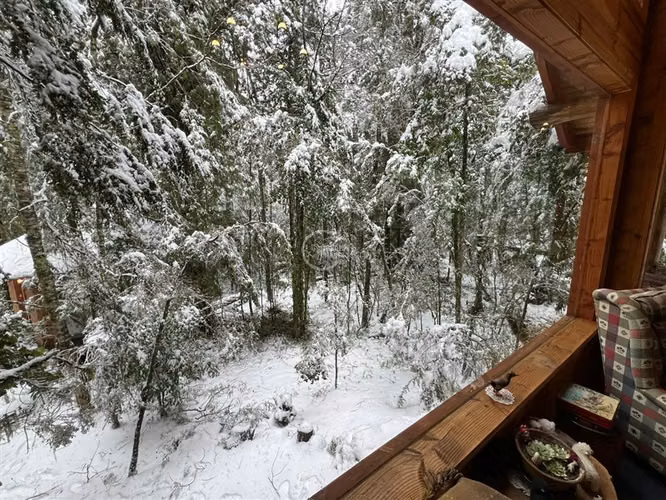 Casa en venta de 3 dorm. en Panguipulli