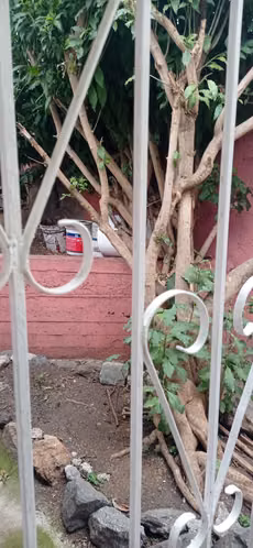 Casa  Valparaiso Cerro alegre