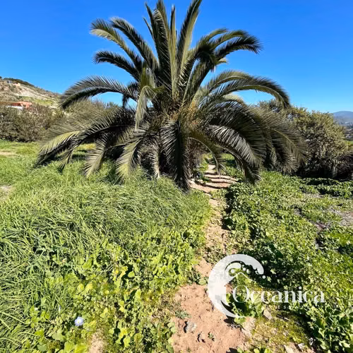Propiedad De 2,121 m2 En Exclusivo Condominio (167605)