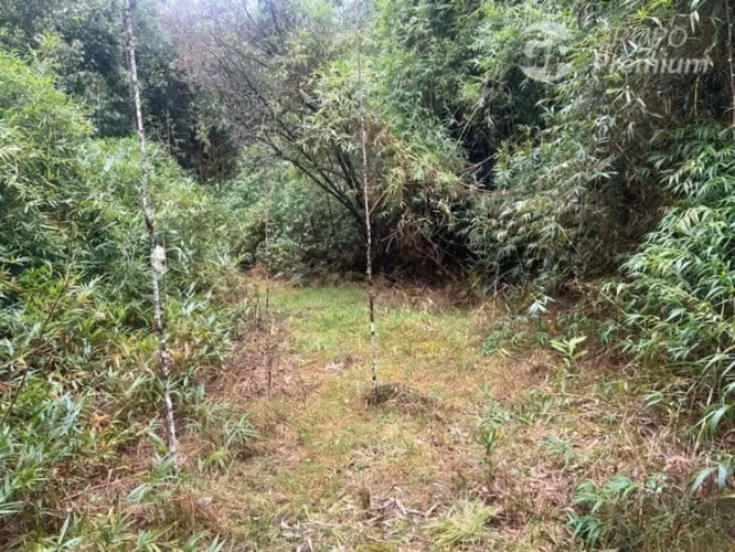 Gran Oportunidad Parcela Para tu Casa en Venta en Frutillar - Imagen 12