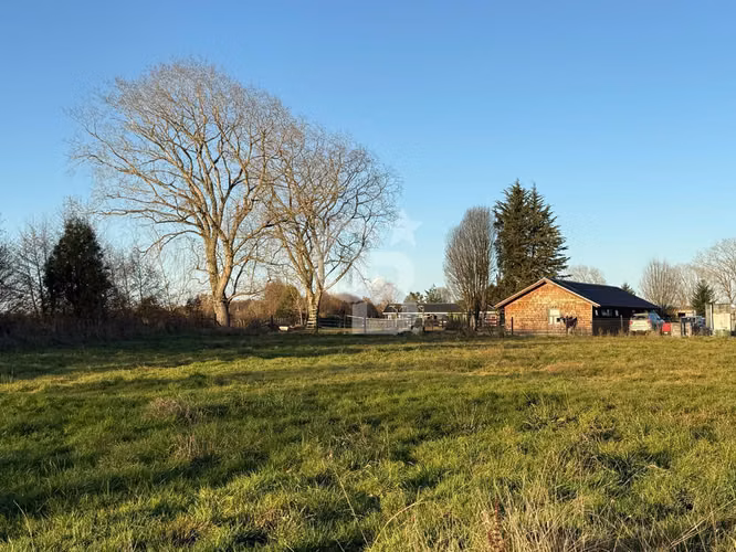 Linda Parcela de 5.000 m² en Frutillar, hermosas vistas