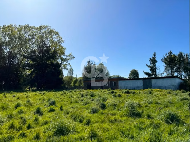 Linda Parcela de 5.000 m² en Frutillar, hermosas vistas