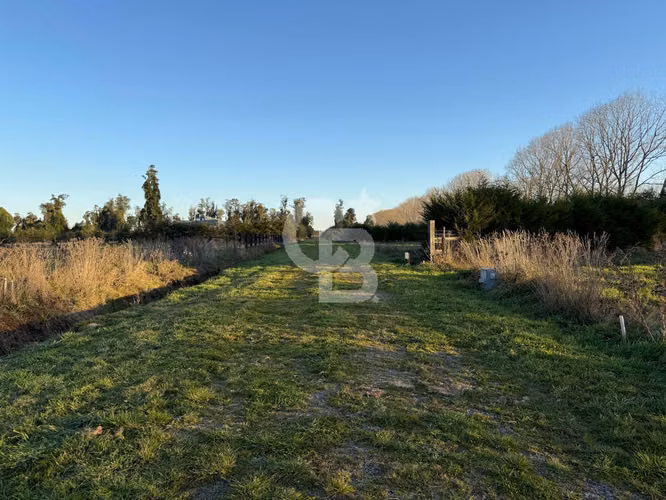 Linda Parcela de 5.000 m² en Frutillar, hermosas vistas