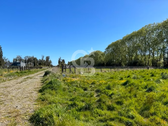 Linda Parcela de 5.000 m² en Frutillar, hermosas vistas