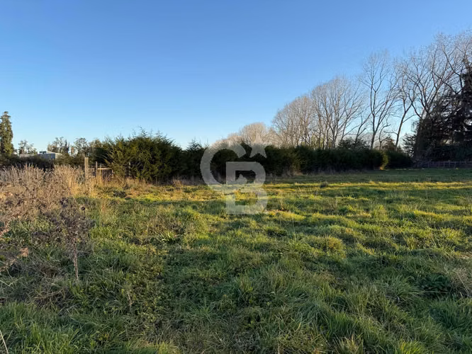 Linda Parcela de 5.000 m² en Frutillar, hermosas vistas