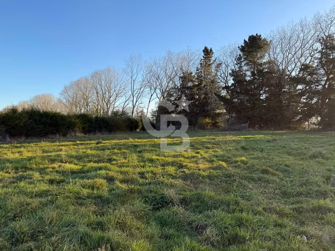 Linda Parcela de 5.000 m² en Frutillar, hermosas vistas