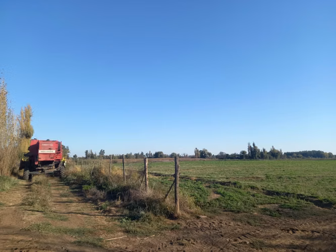 Terreno L-275, Yerbas Buenas, Maule