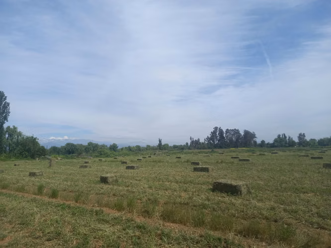 Terreno L-275, Yerbas Buenas, Maule