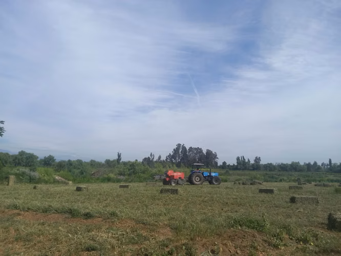 Terreno L-275, Yerbas Buenas, Maule