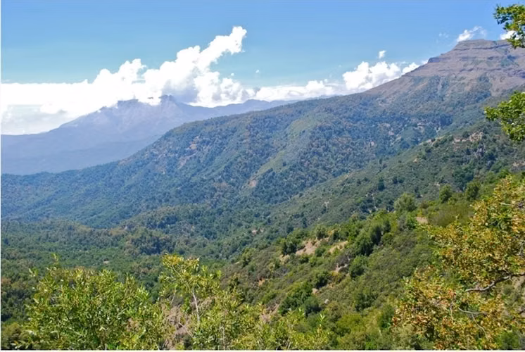Sitio en venta en Curicó - Imagen 3