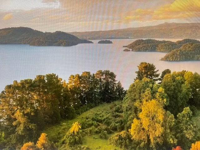 Agrícola en venta en Puyehue