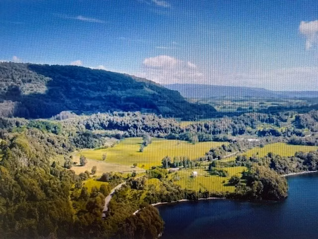 Agrícola en venta en Puyehue