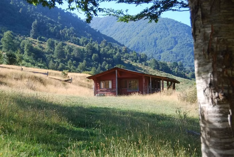 Agrícola en venta en Futrono