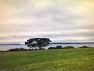 Agrícola en venta en Lago Ranco
