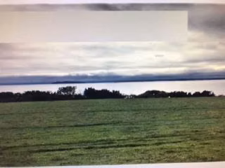 Agrícola en venta en Lago Ranco