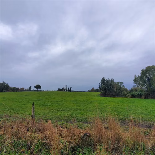 Agrícola en venta en Río Bueno