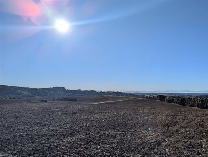 Agrícola en venta en San Pablo - Imagen 19