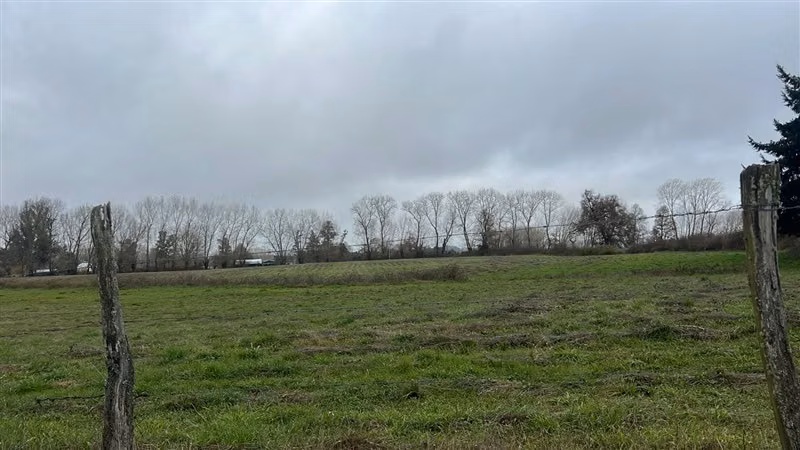 Agrícola en venta en Río Negro
