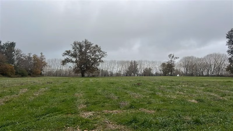 Agrícola en venta en Río Negro