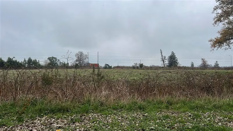 Agrícola en venta en Río Negro