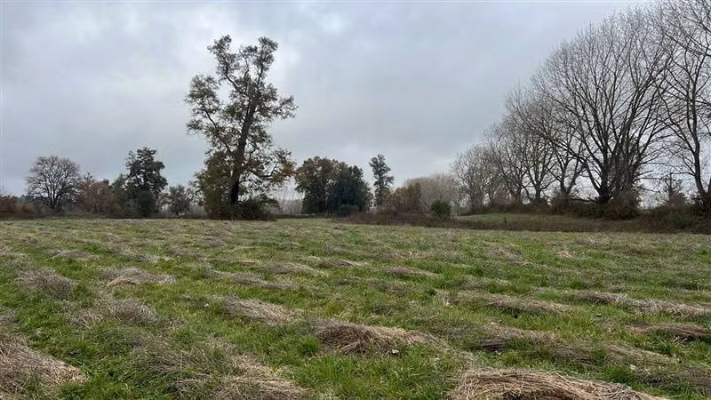 Agrícola en venta en Río Negro
