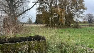 Agrícola en venta en Río Negro
