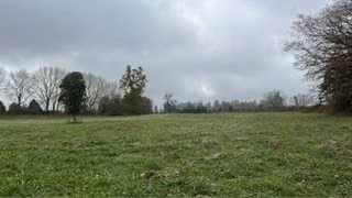 Agrícola en venta en Río Negro