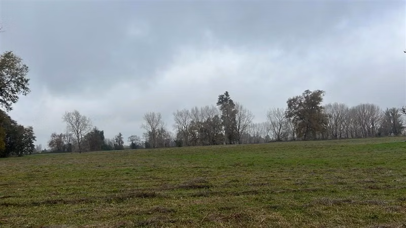 Agrícola en venta en Río Negro