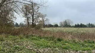 Agrícola en venta en Río Negro