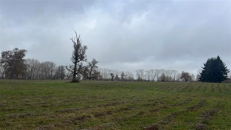 Agrícola en venta en Río Negro