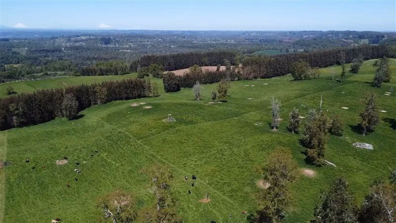 Parcela en venta en Lago Ranco