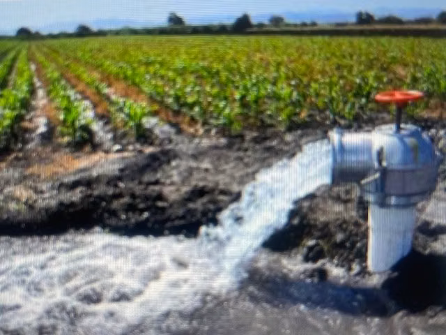 Agrícola en venta en Parral