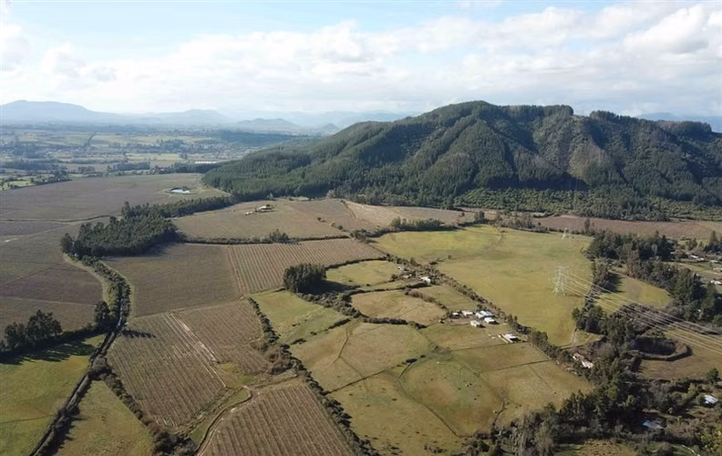 Agrícola en venta en San Clemente