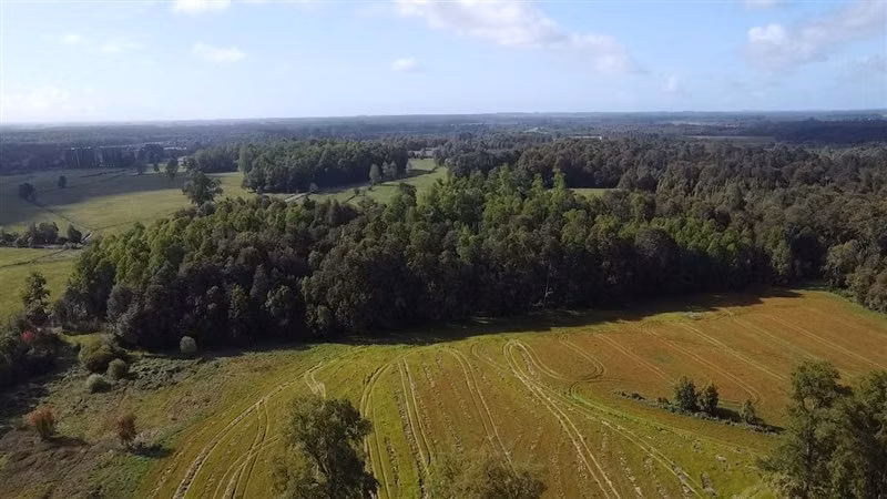 Agrícola en venta en Purranque