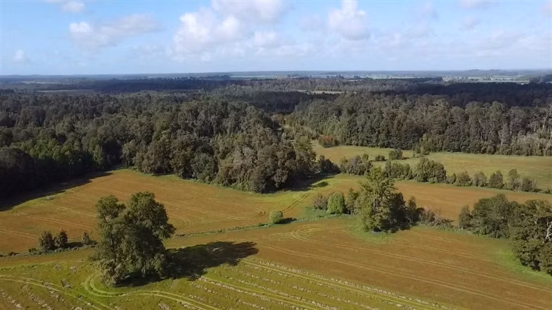 Agrícola en venta en Purranque