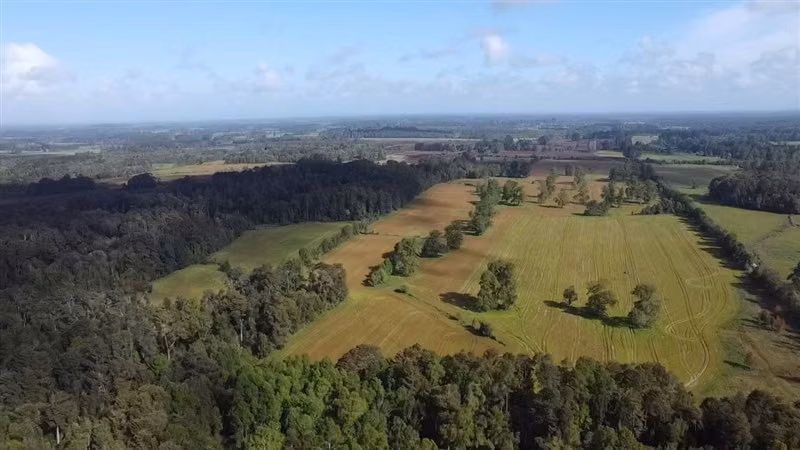 Agrícola en venta en Purranque