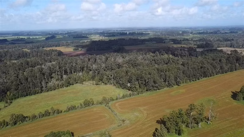 Agrícola en venta en Purranque