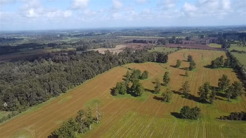 Agrícola en venta en Purranque