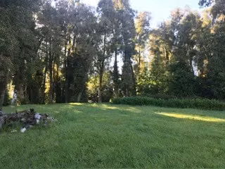 Casa en venta de 2 dorm. en Puyehue