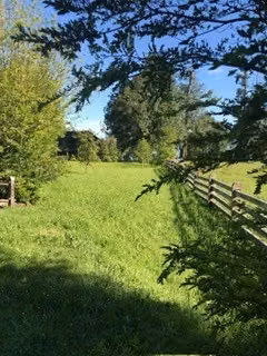 Casa en venta de 2 dorm. en Puyehue