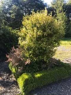 Casa en venta de 2 dorm. en Puyehue