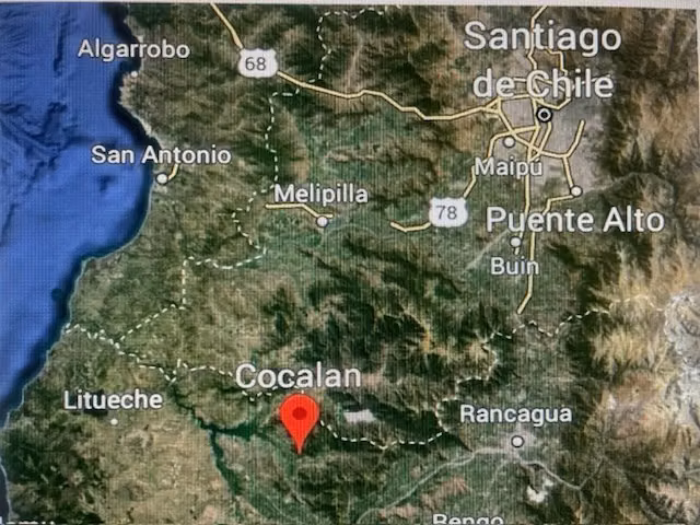 Agrícola en venta en Las Cabras