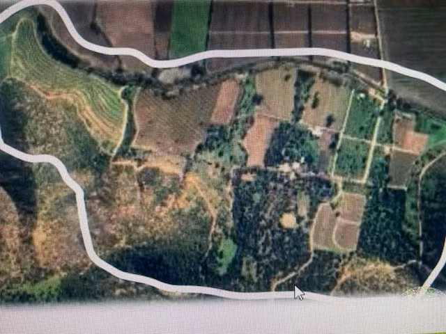 Agrícola en venta en Las Cabras