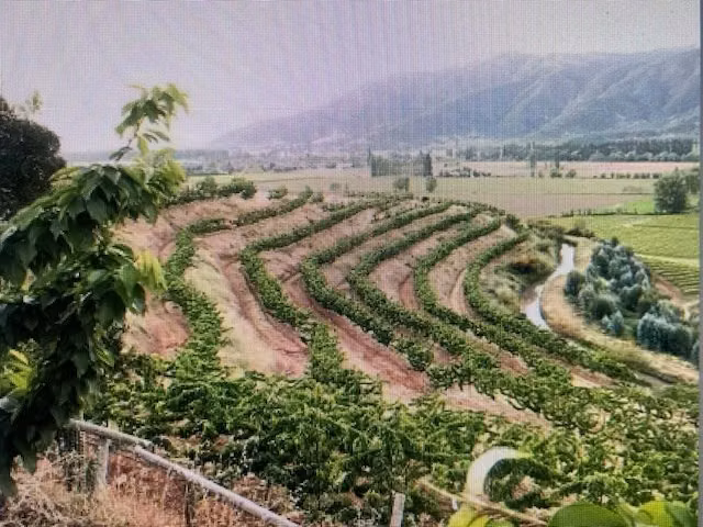 Agrícola en venta en Las Cabras