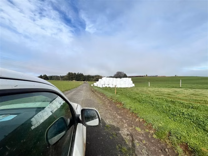 Agrícola en venta en Osorno - Imagen 5