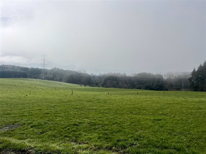 Agrícola en venta en Osorno