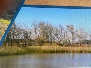 Agrícola en venta en Traiguén