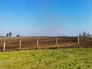 Agrícola en venta en Traiguén
